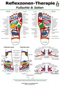DIN A4: Reflexzonen-Therapie Mini-Poster - Fußsohle & Seiten (laminiert) 4352