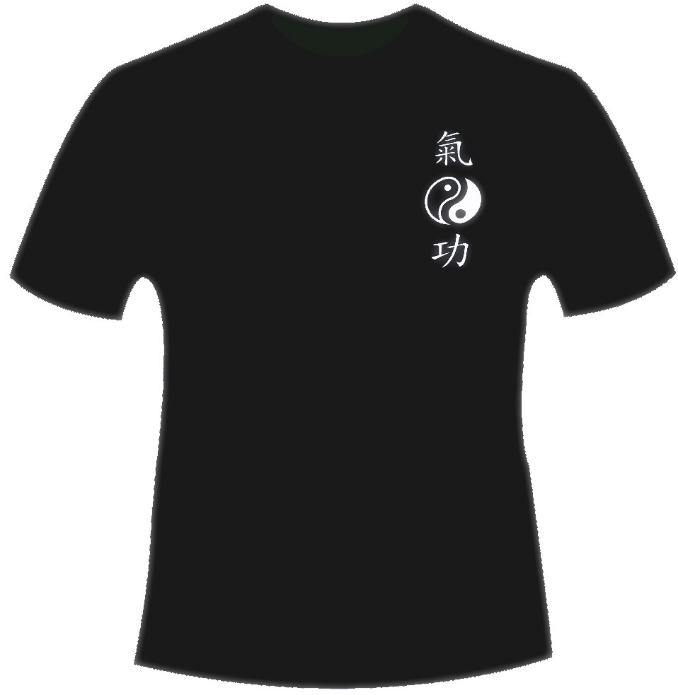 QiGong SET (Anzug, T-Shirt, Schuhe) 200 / XXL-46