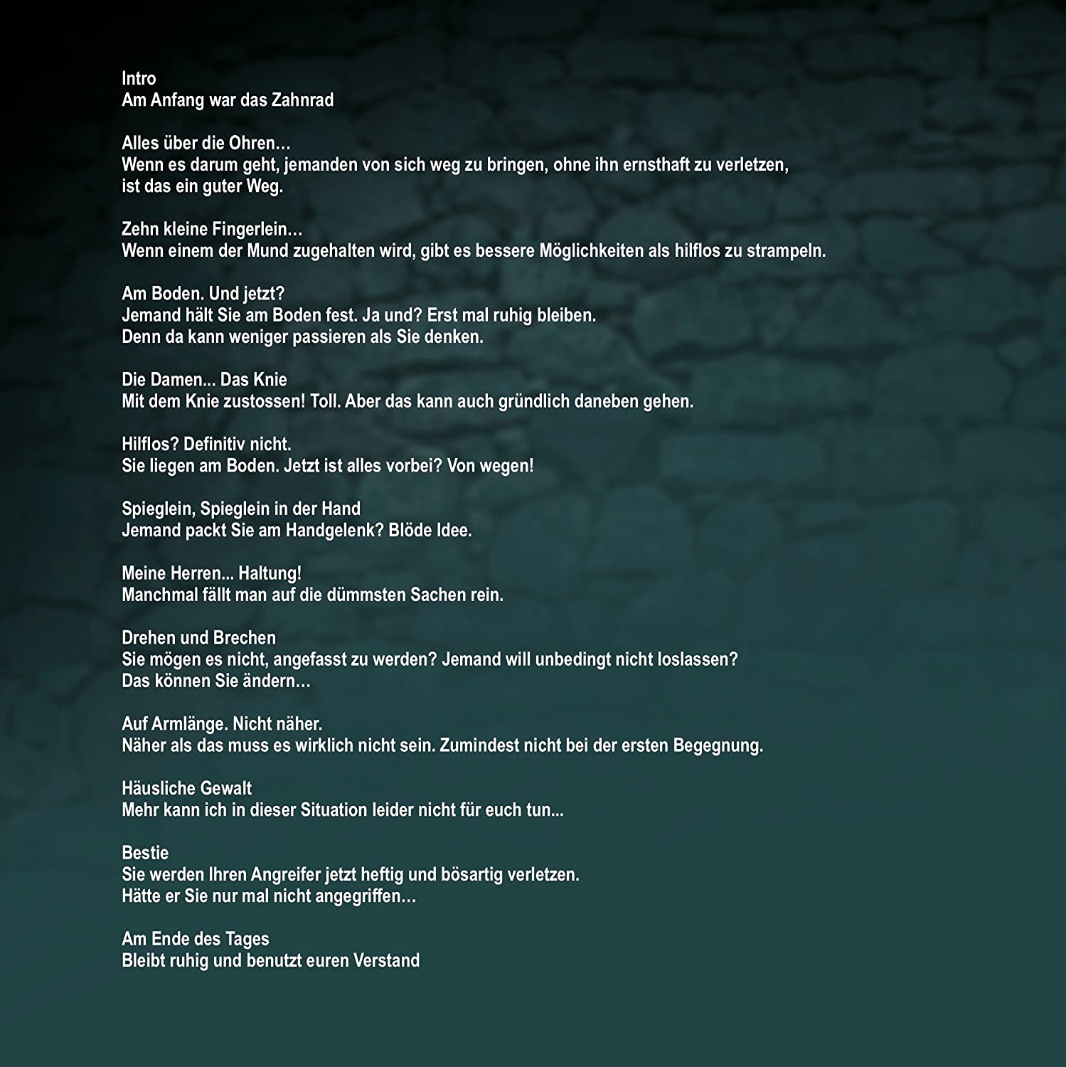 Stay Alive - Selbstverteidigung im Alltag Vol 2 / DVD
